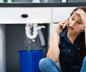 About Water Leak Detection Pros Napoleon, MI